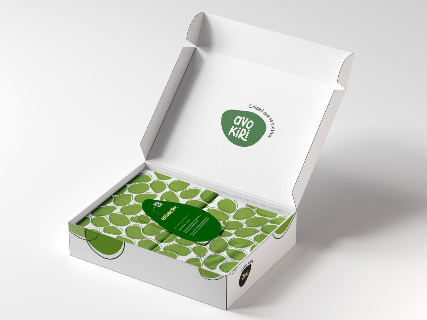 diseno-grafico-proyecto-avokiri